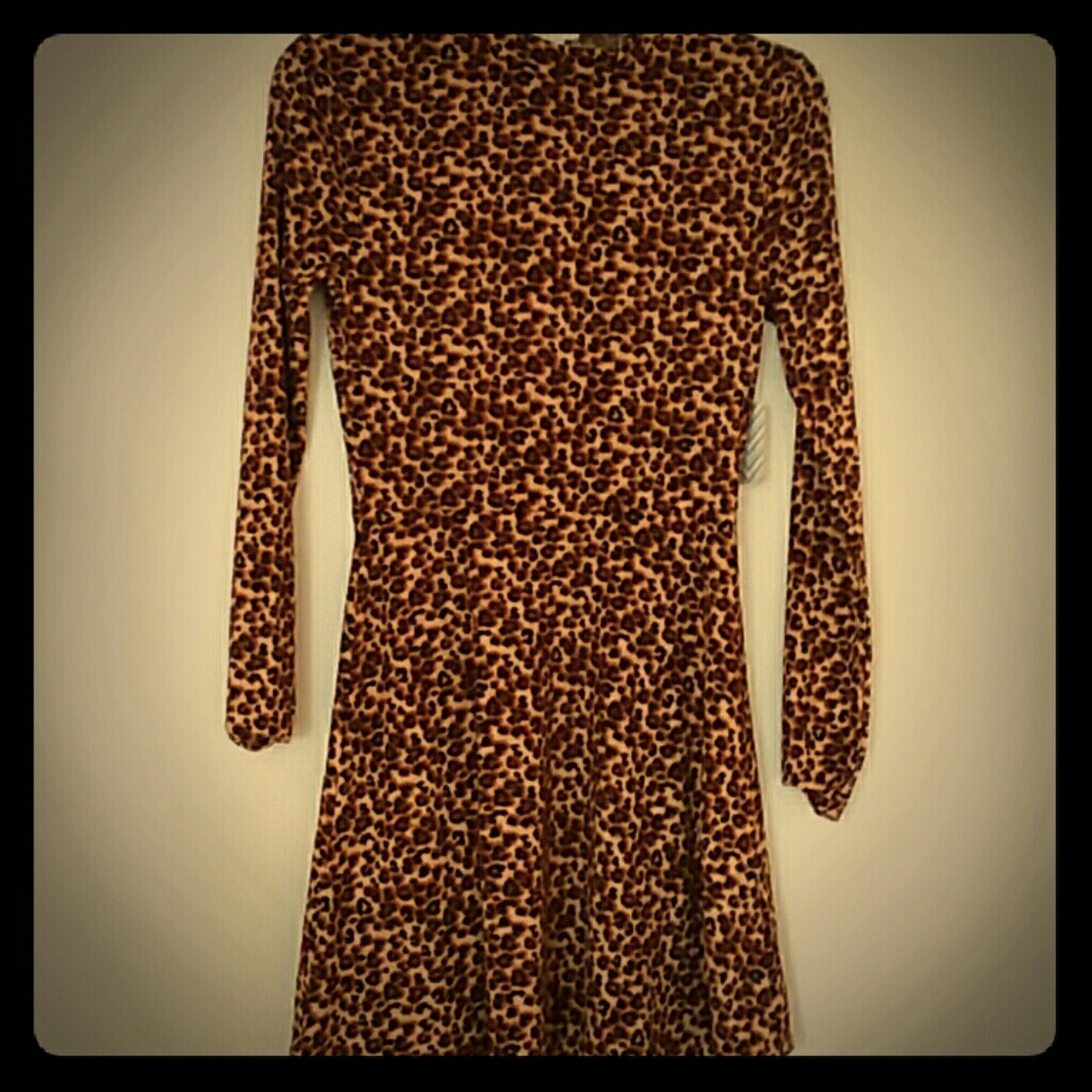 Cheetah-Print Skater Dress (Forever 21 Dress)